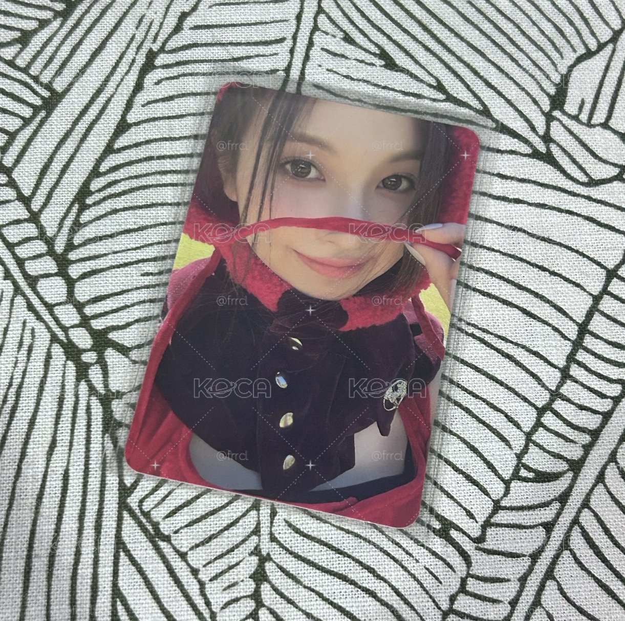 小紅帽專卡💗