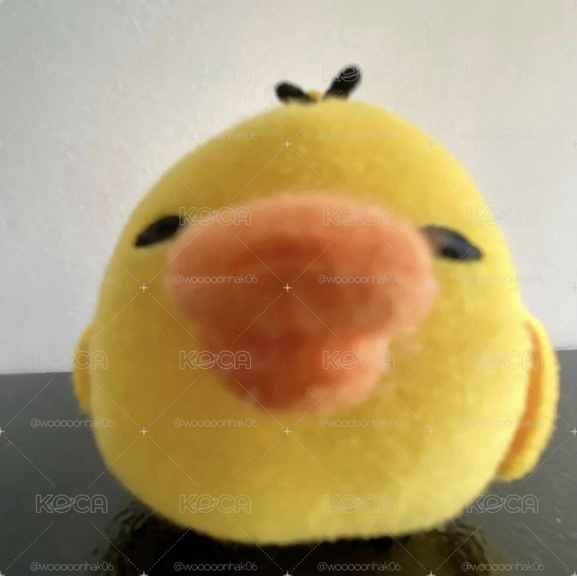 ivE . . .
