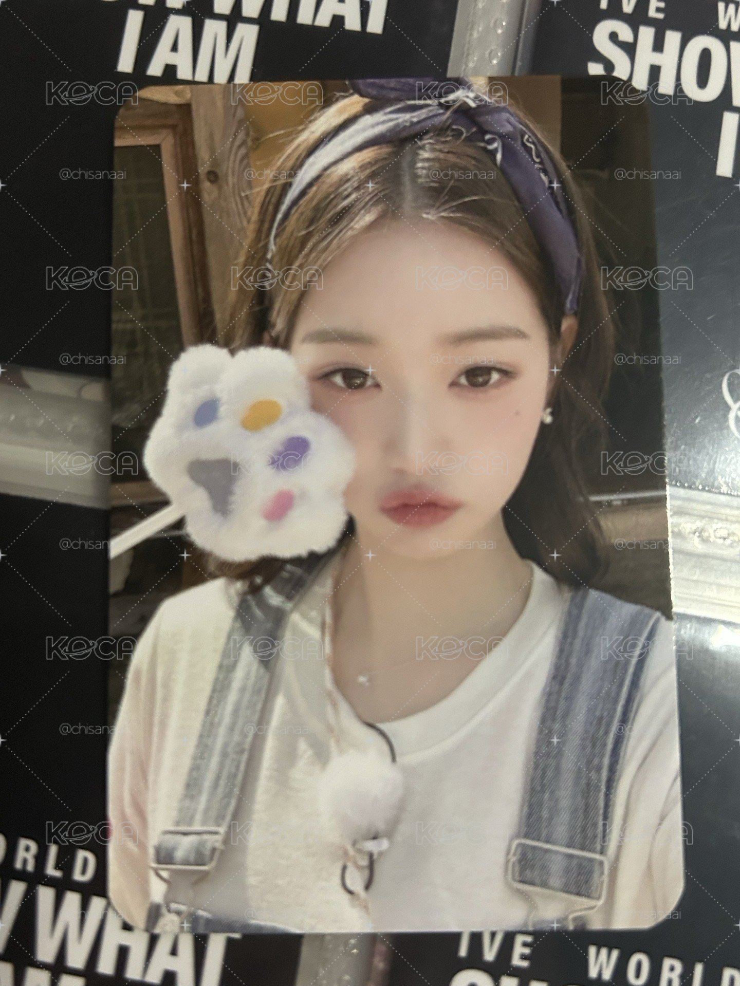 正規一 Br特典 早期鄭妮妮