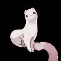 托帕
