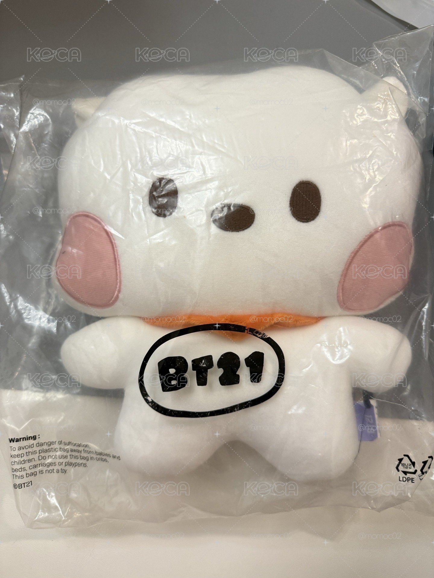 bt21 minini flat cushion 系列 RJ