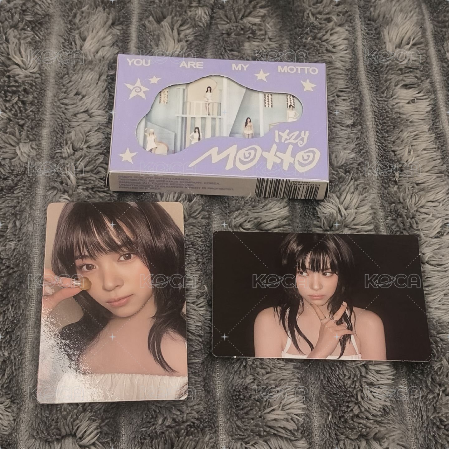 （3）