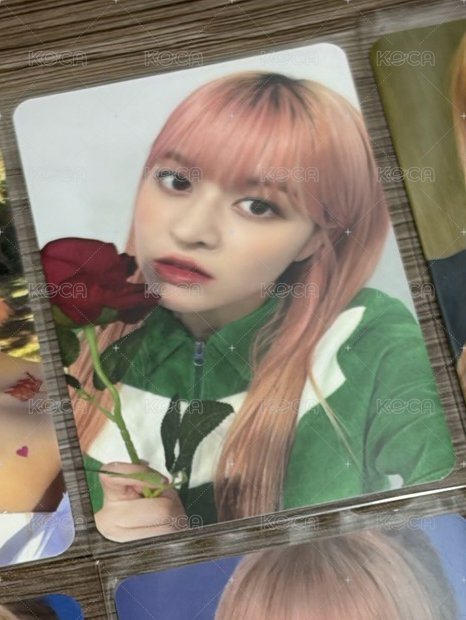 ms6玫瑰花