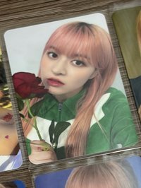 ms6玫瑰花
