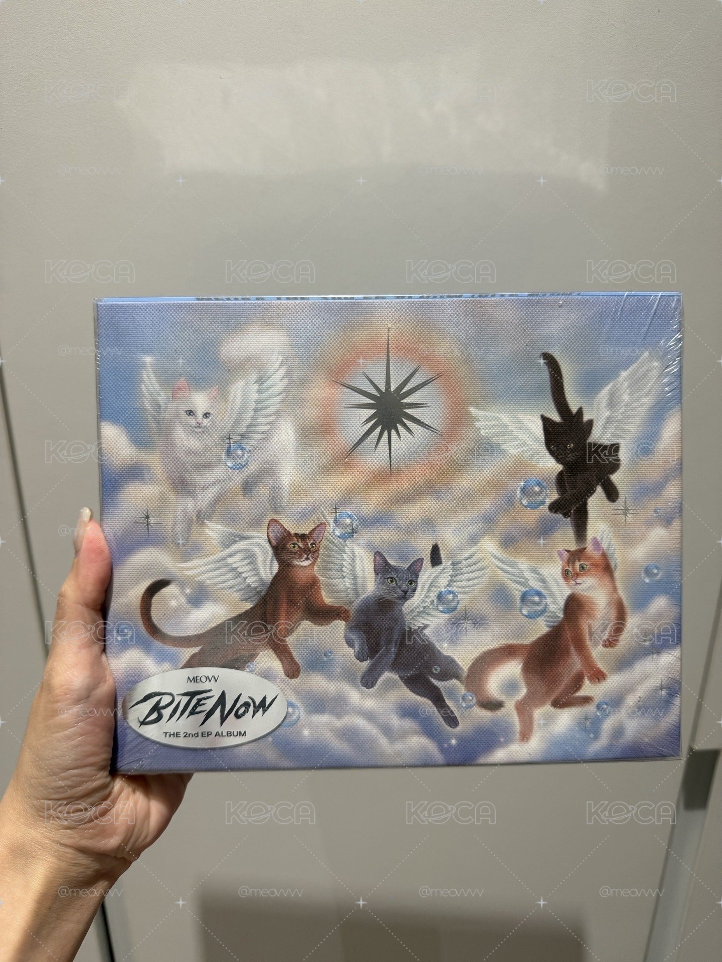 MEOVV bite now 未拆美版親簽專（內附一張美版限定團卡）