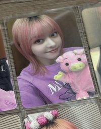 小豬
