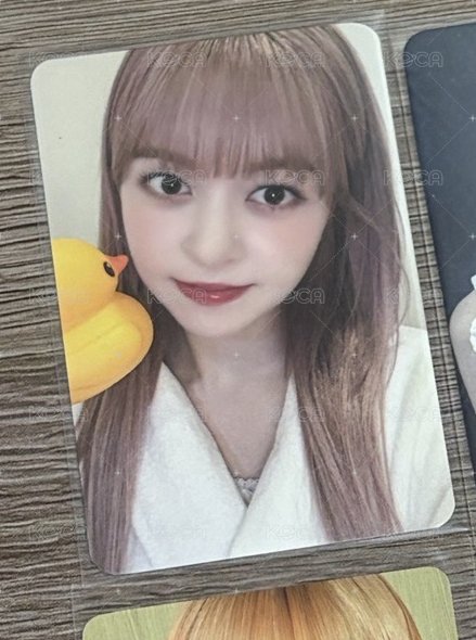 鴨子莉