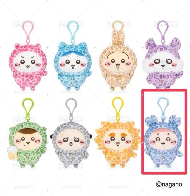 Donki豹紋古本屋