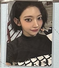 東蛋安可櫻