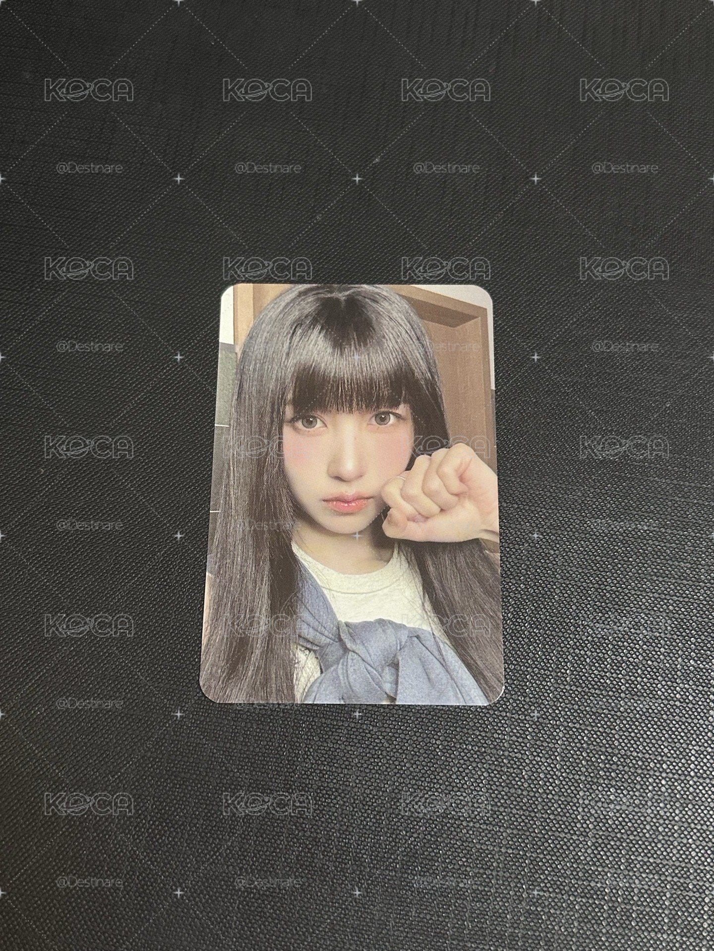 貓貓拳南特典