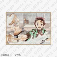 每月抽賞 雜誌藝術收藏A賞22 壓克力 色紙 （A）