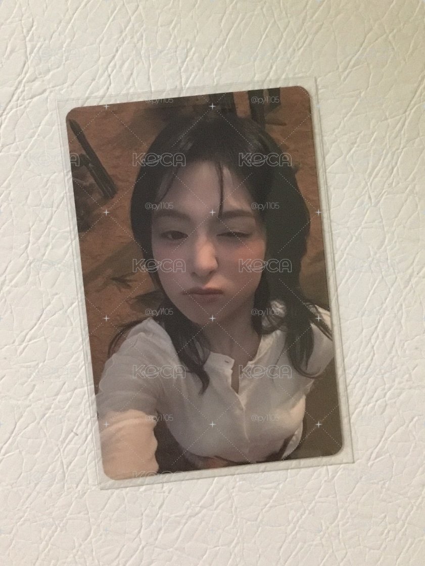 毛球賢🤍