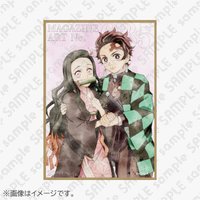 每月抽賞 雜誌藝術收藏A賞35 壓克力 色紙 （B）