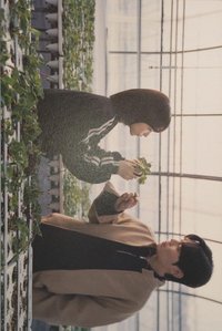 未知的首爾 ost 明信片 