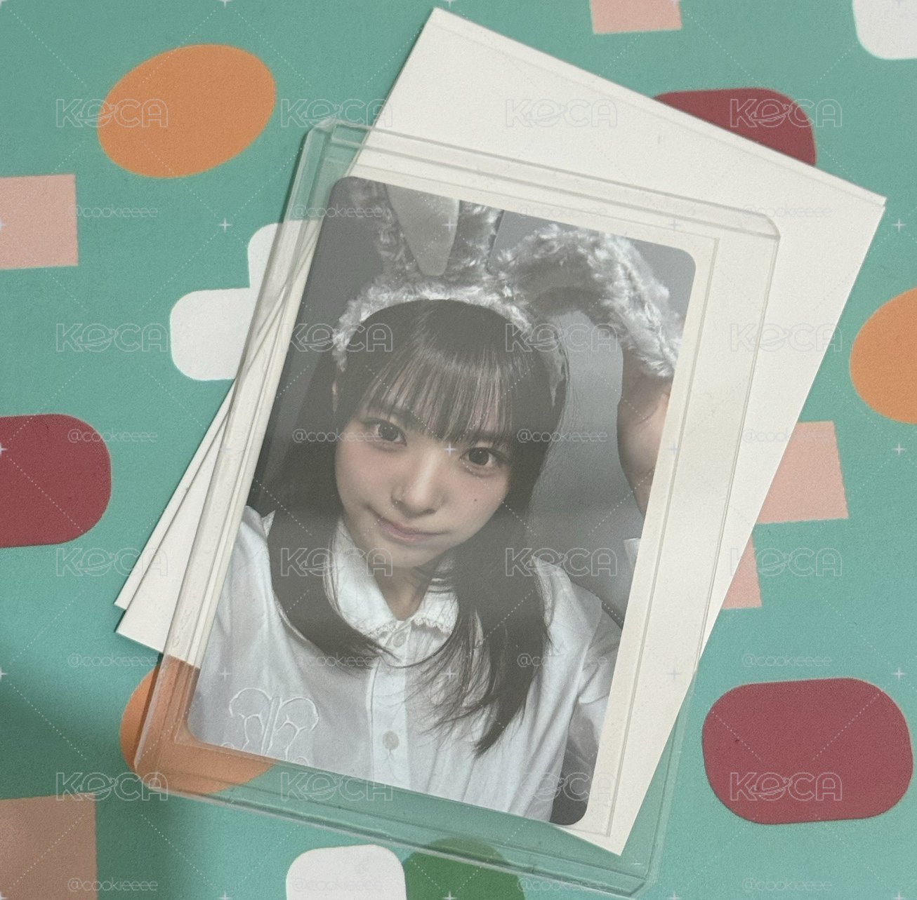 兔耳燕🐰