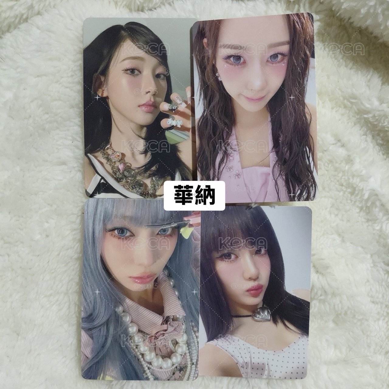 華納特典整套