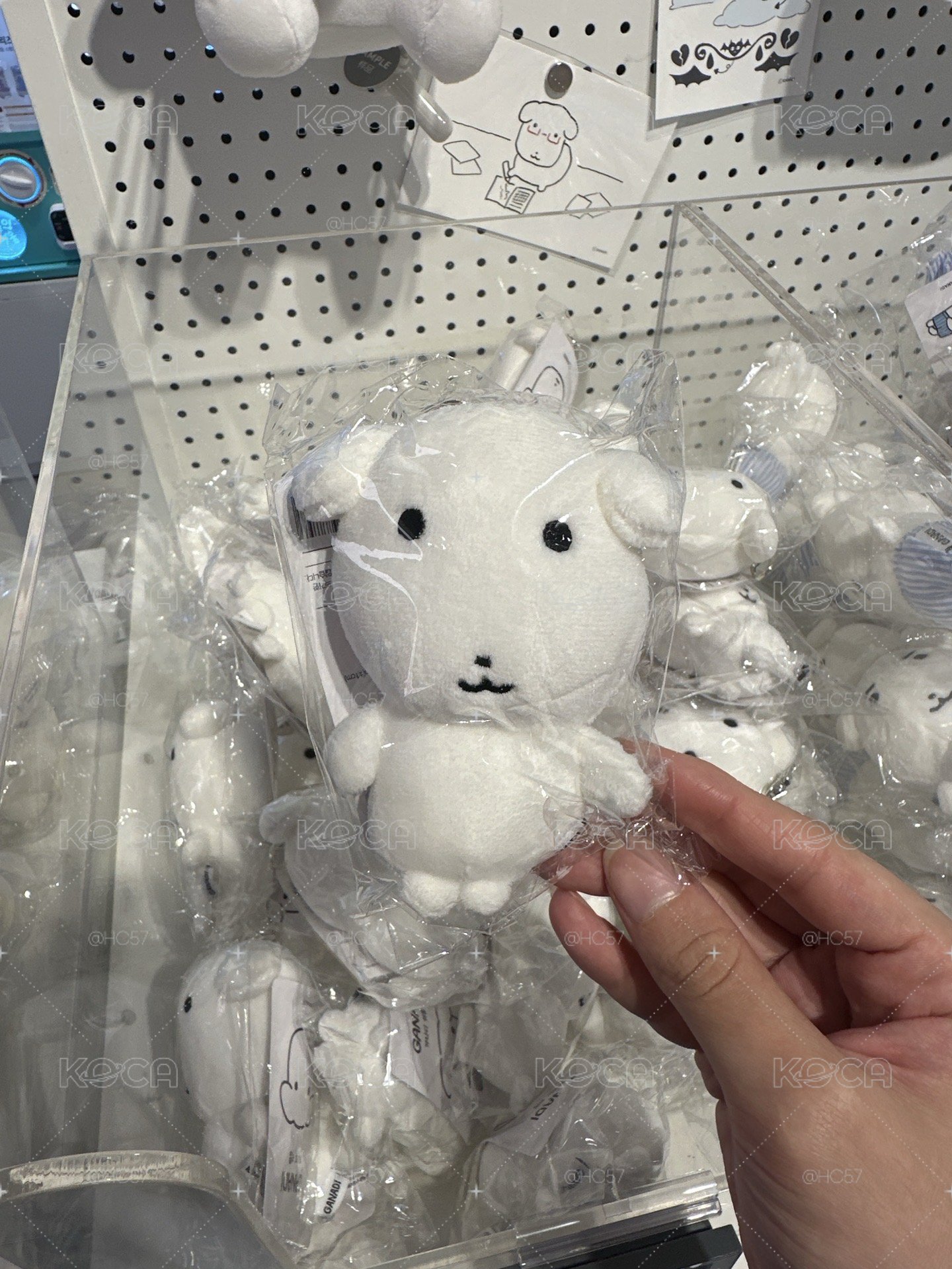 가나다 原皮娃（回台後寄出）