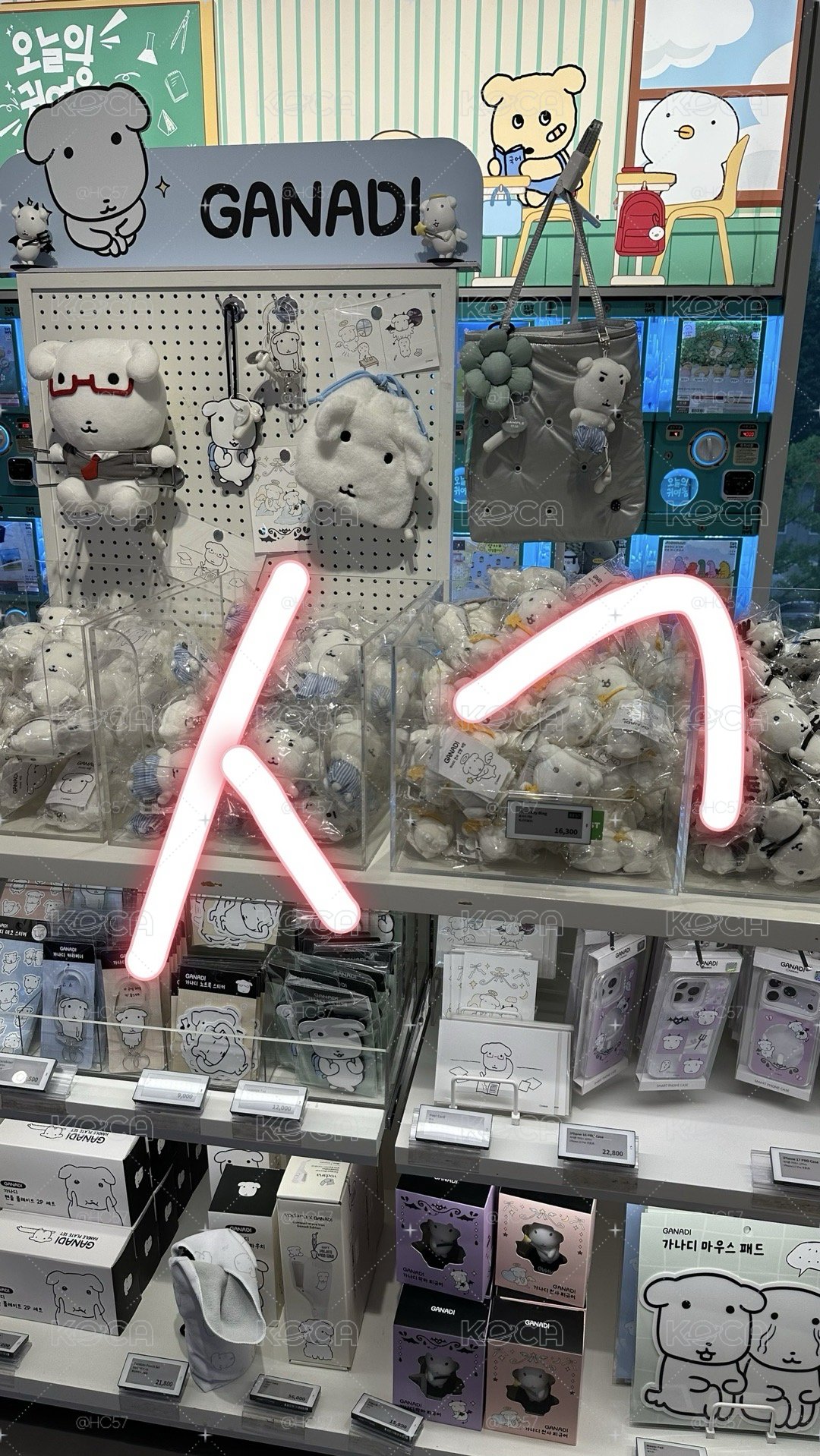 가나다 原皮娃（回台後寄出）