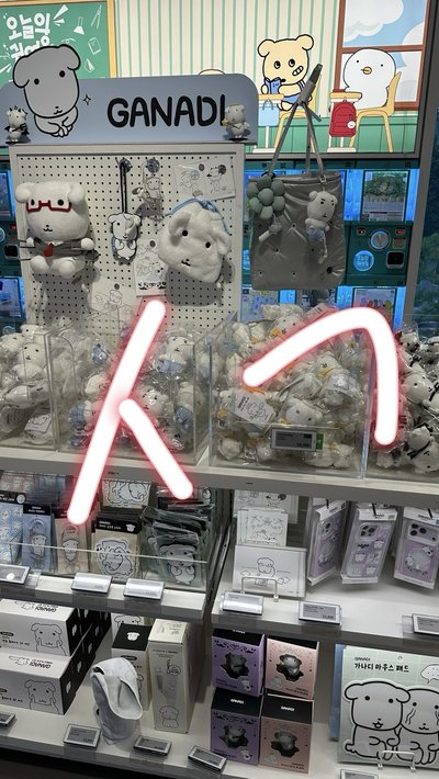 가나다 原皮娃（回台後寄出）