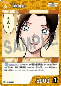 TCG P08 R 卡牌遊戲 09