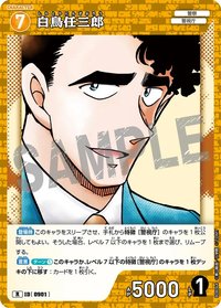 TCG P08 R 卡牌遊戲 09