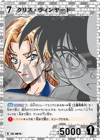 TCG P08 R 卡牌遊戲 09