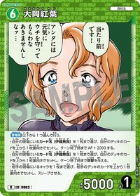 TCG P08 R 卡牌遊戲 09