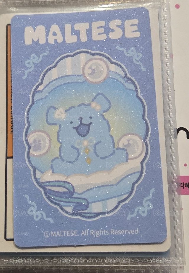 小狗盲盒