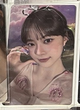 wvs預售採