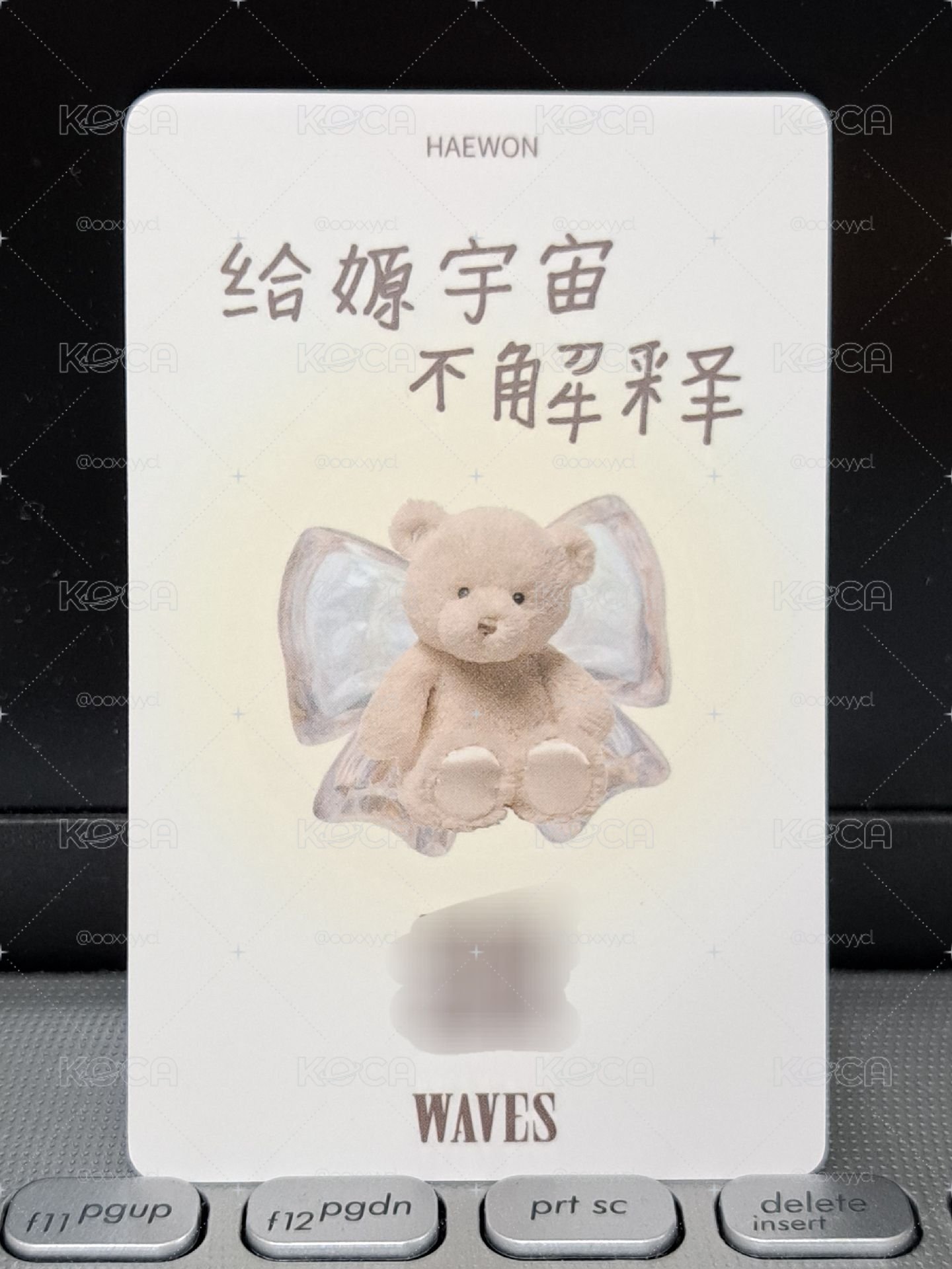 WAVES漫潮語音卡 給嫄宇宙不解釋