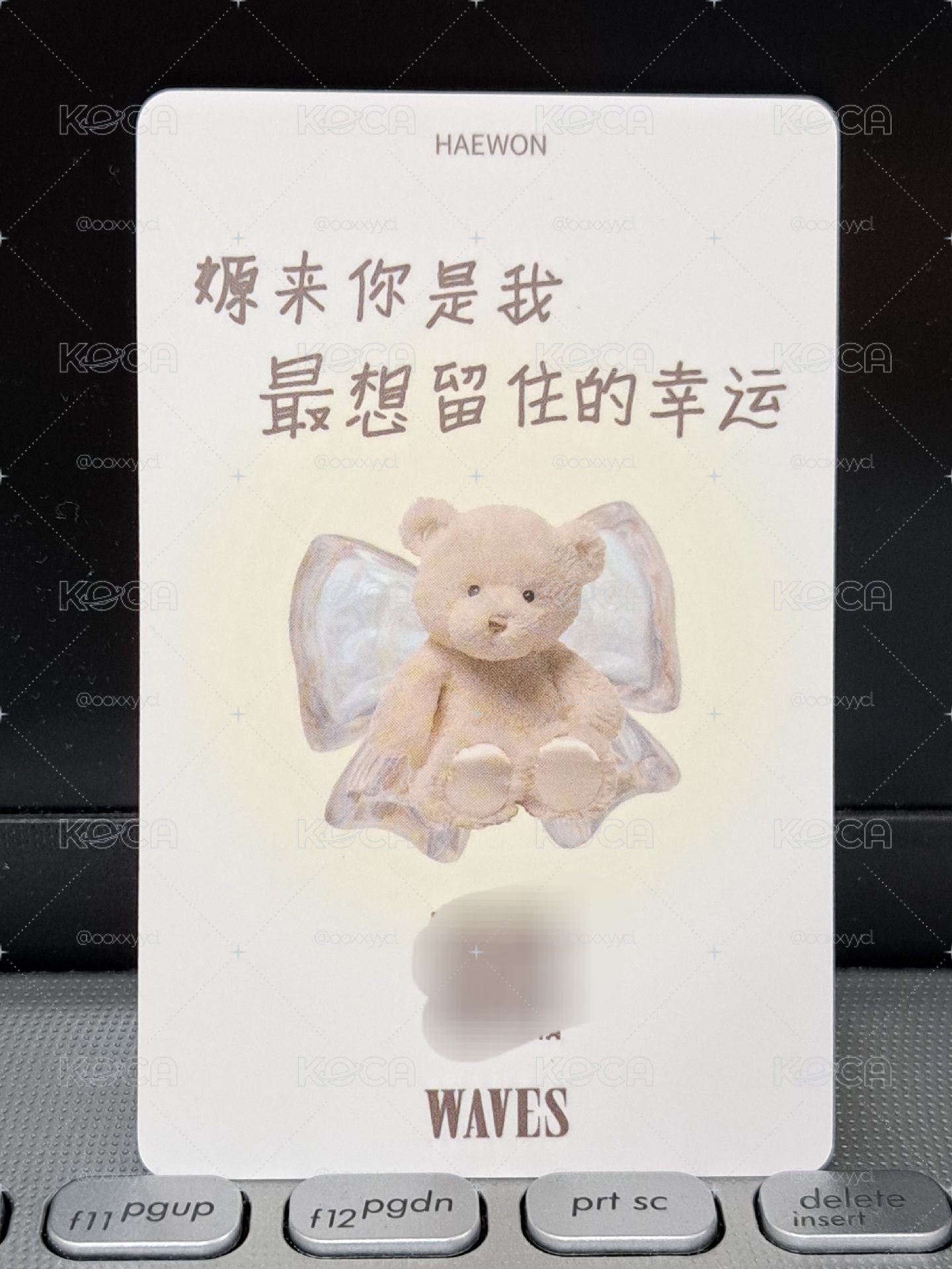 WAVES漫潮語音卡 嫄來你是我最想留住的幸運