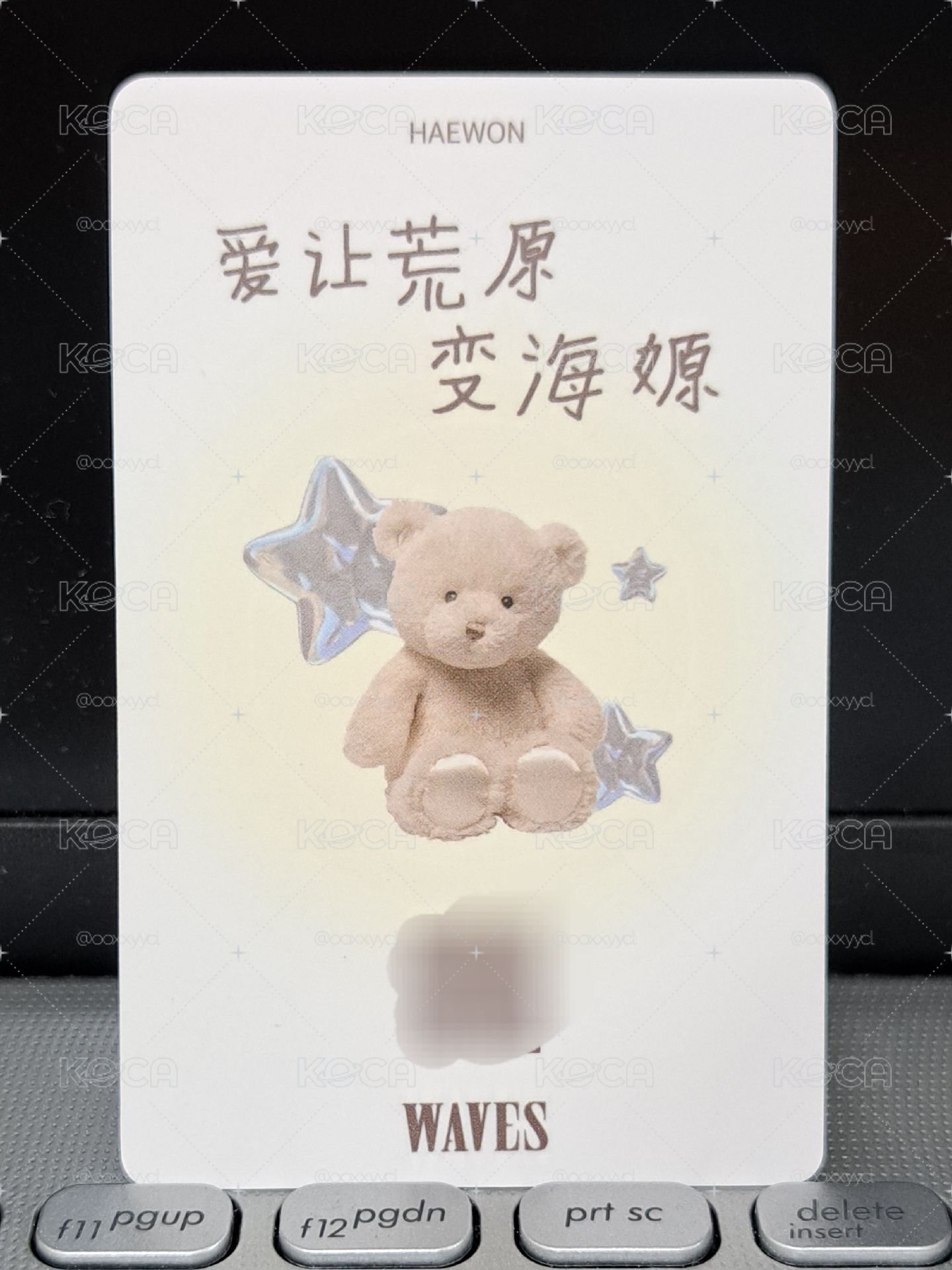 WAVES漫潮語音卡 愛讓荒原變海嫄