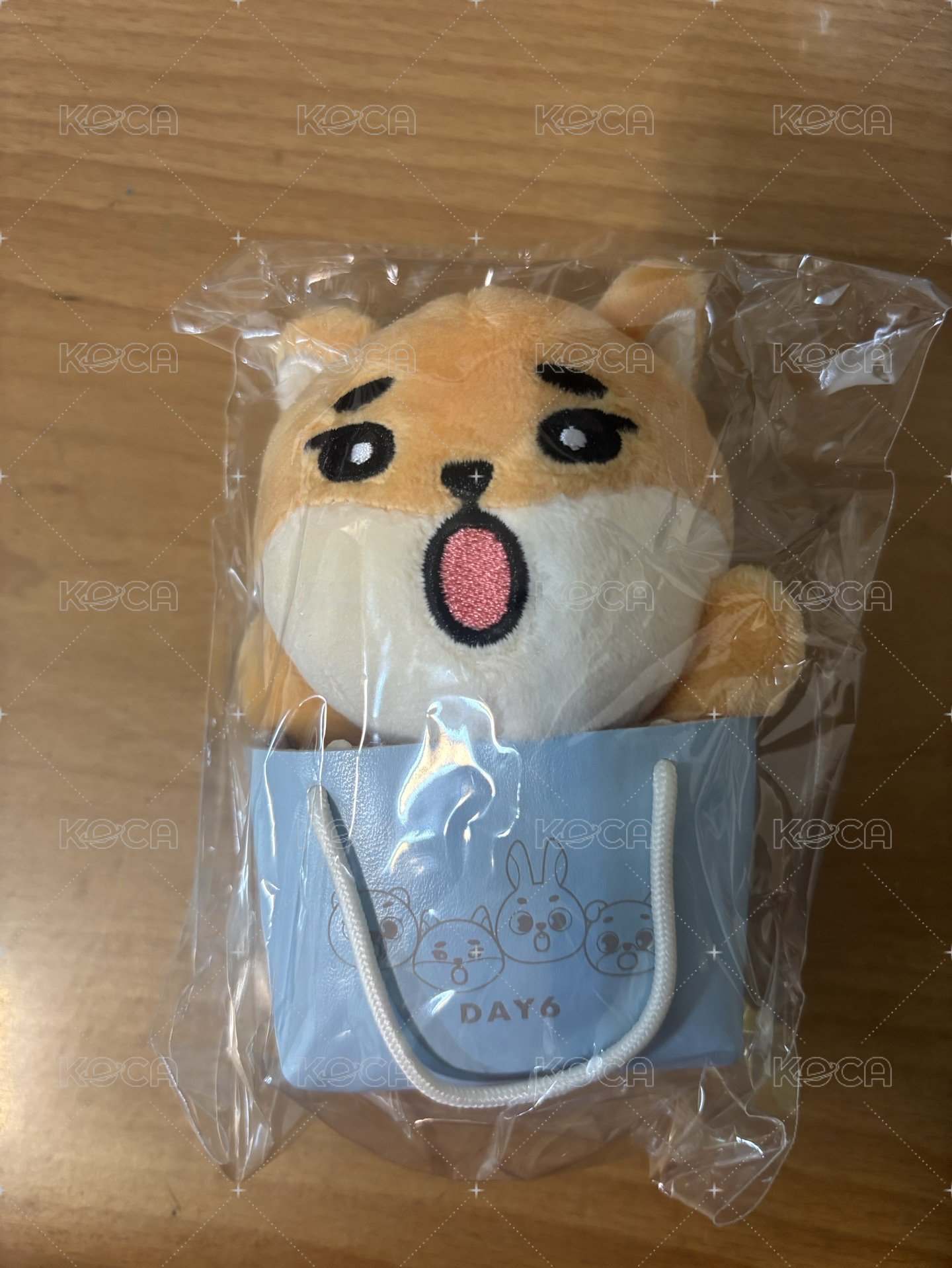 🦊