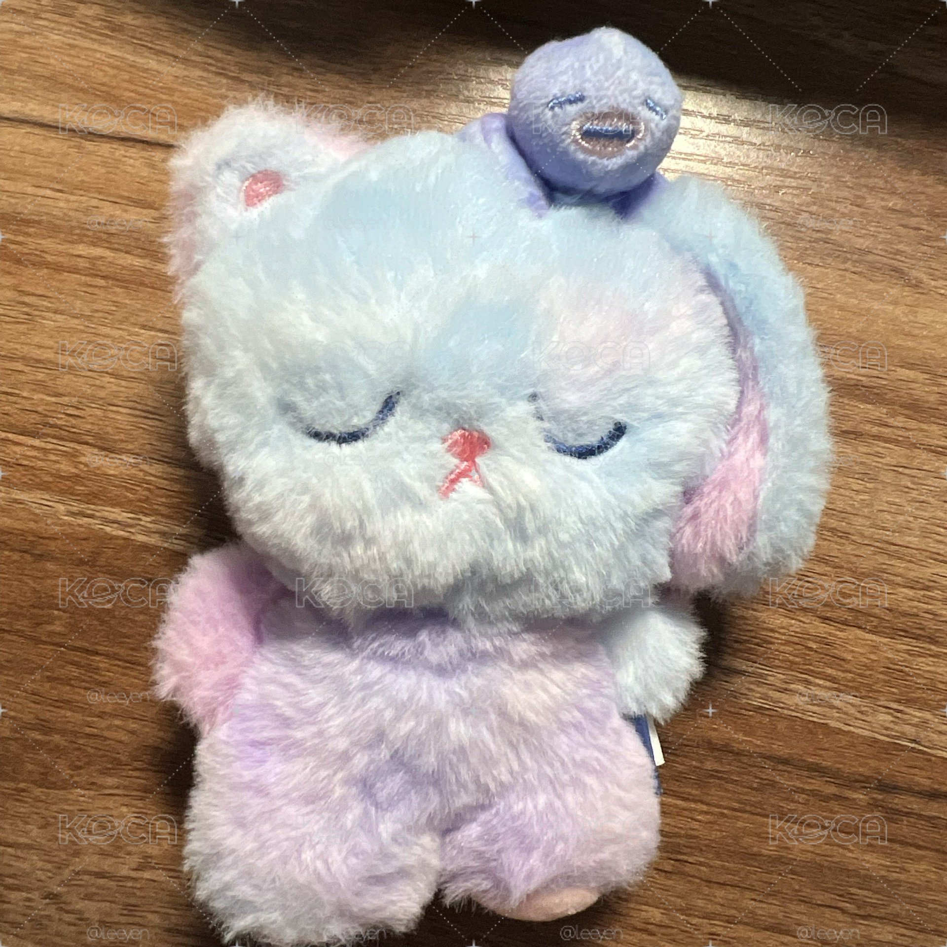 彬語音娃