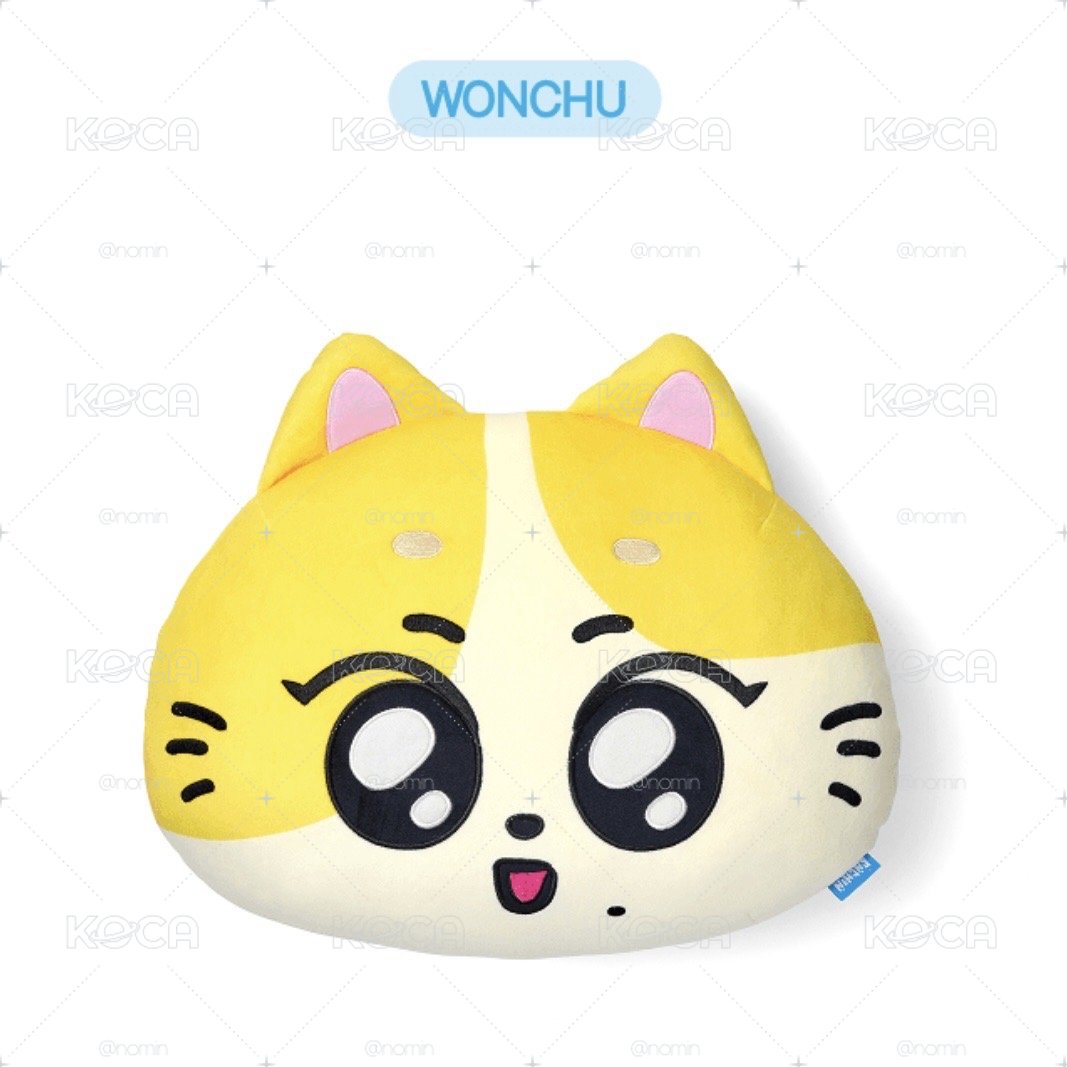 元 ENCHIN 抱枕 贈 WONCHU 線上滿額卡 
