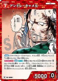 TCG P09 R 卡牌遊戲 08