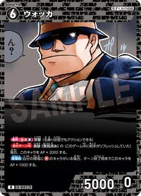 TCG P09 R 卡牌遊戲 08