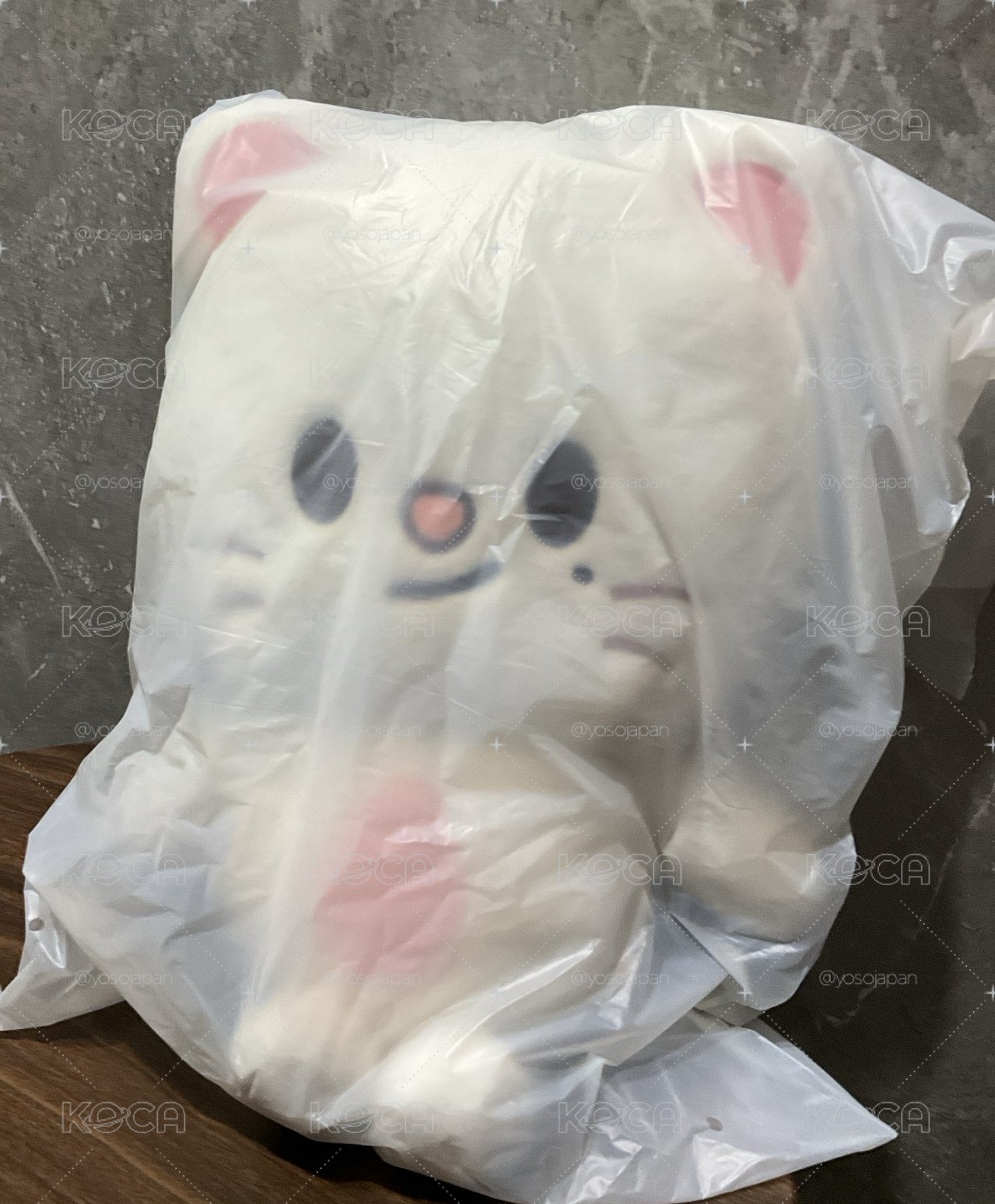 6th辰背娃全新