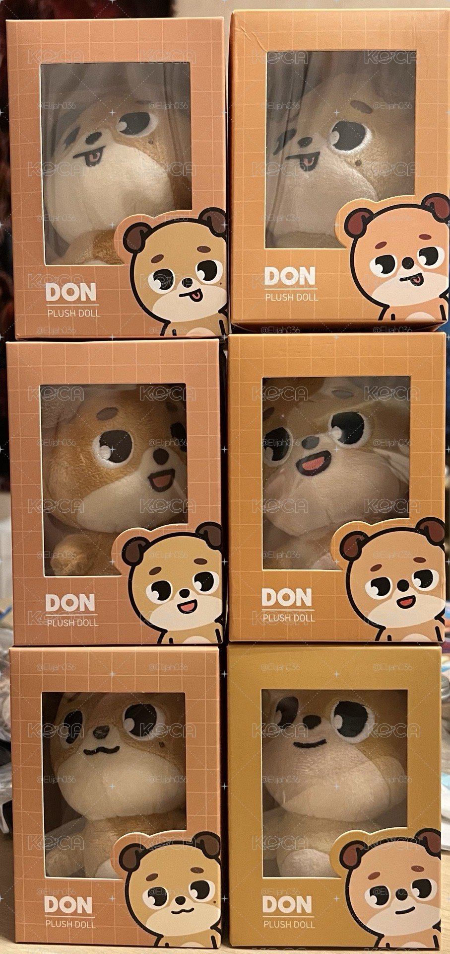DAY6 原皮娃-DON