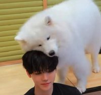 NCT的ATM