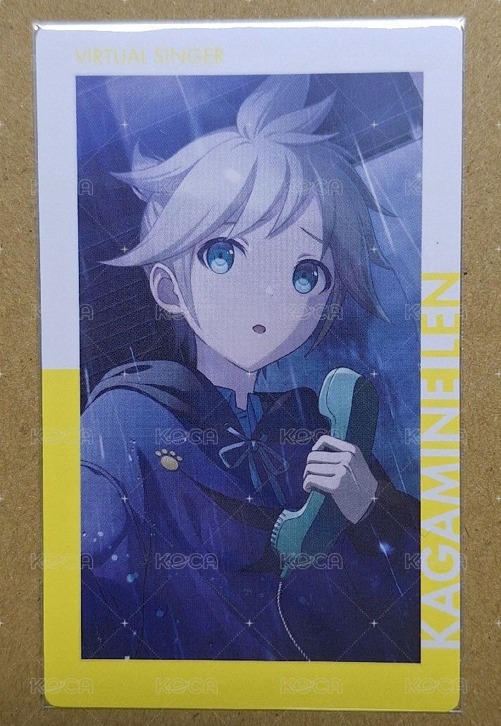 kitty花後