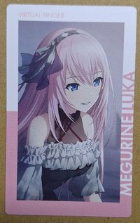 kitty花前