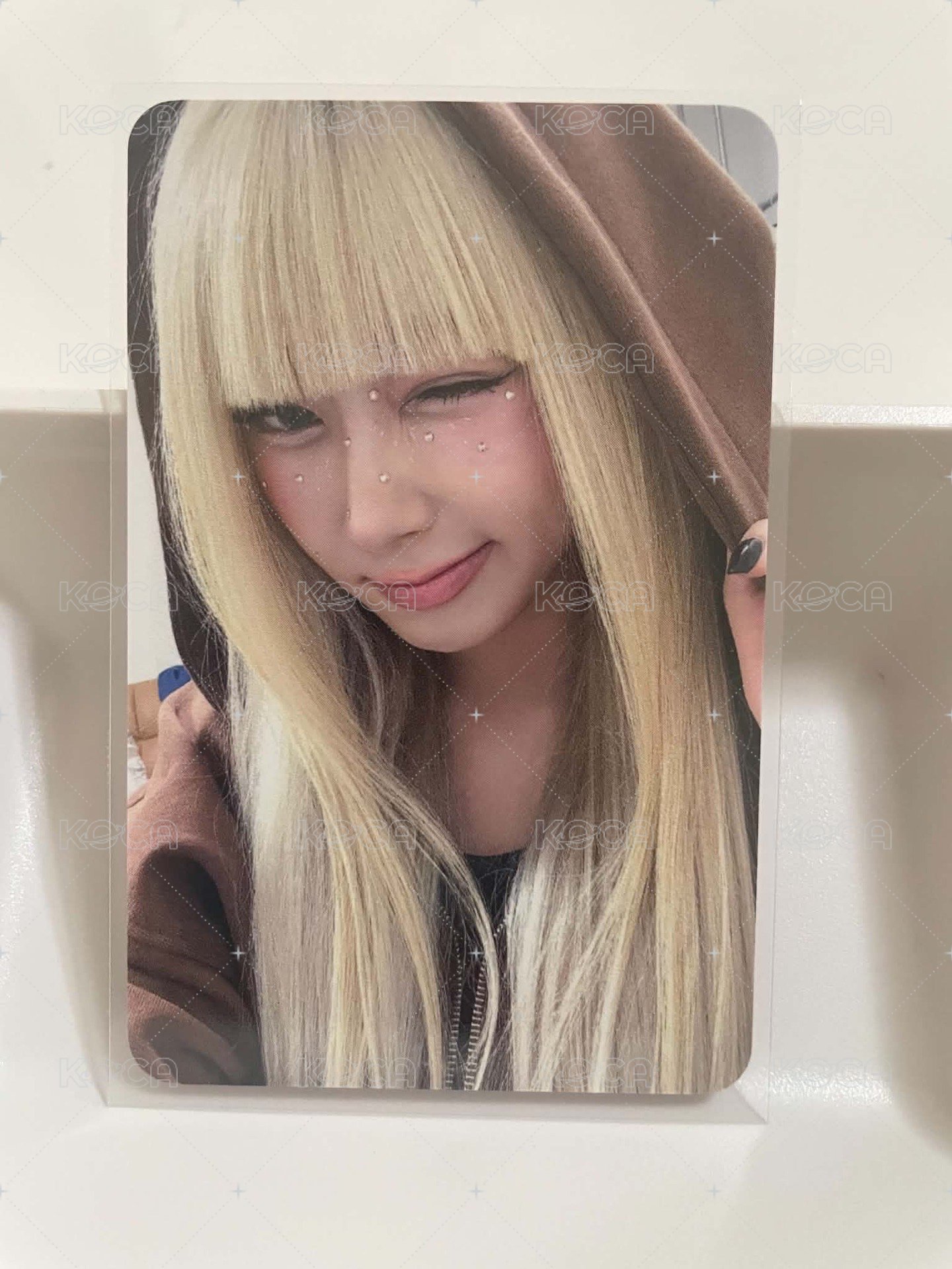 新加坡簽售梨（冷）
