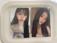 辣妹柚+港簽柚（損） 