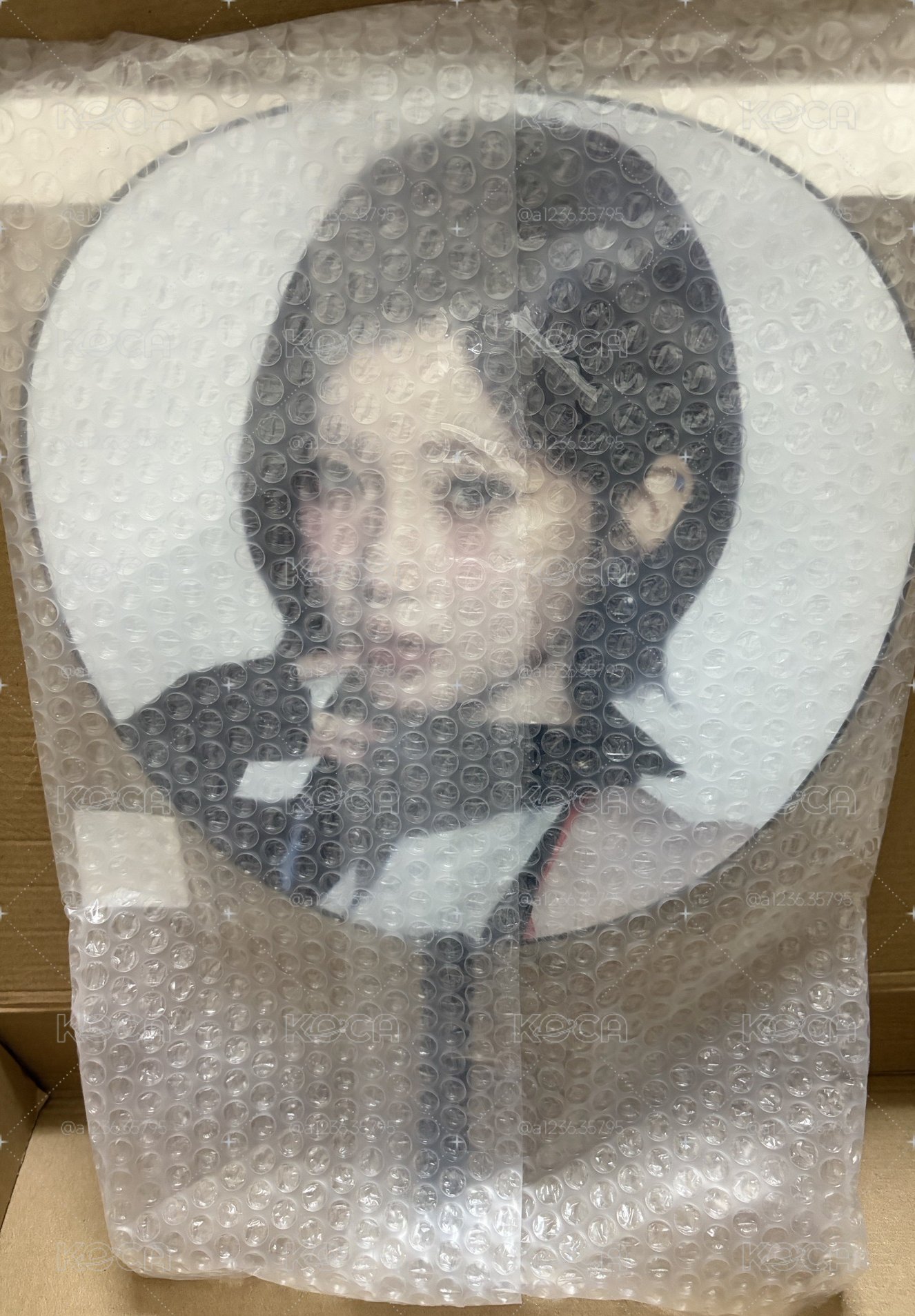 全新現貨-Asa日巡大扇