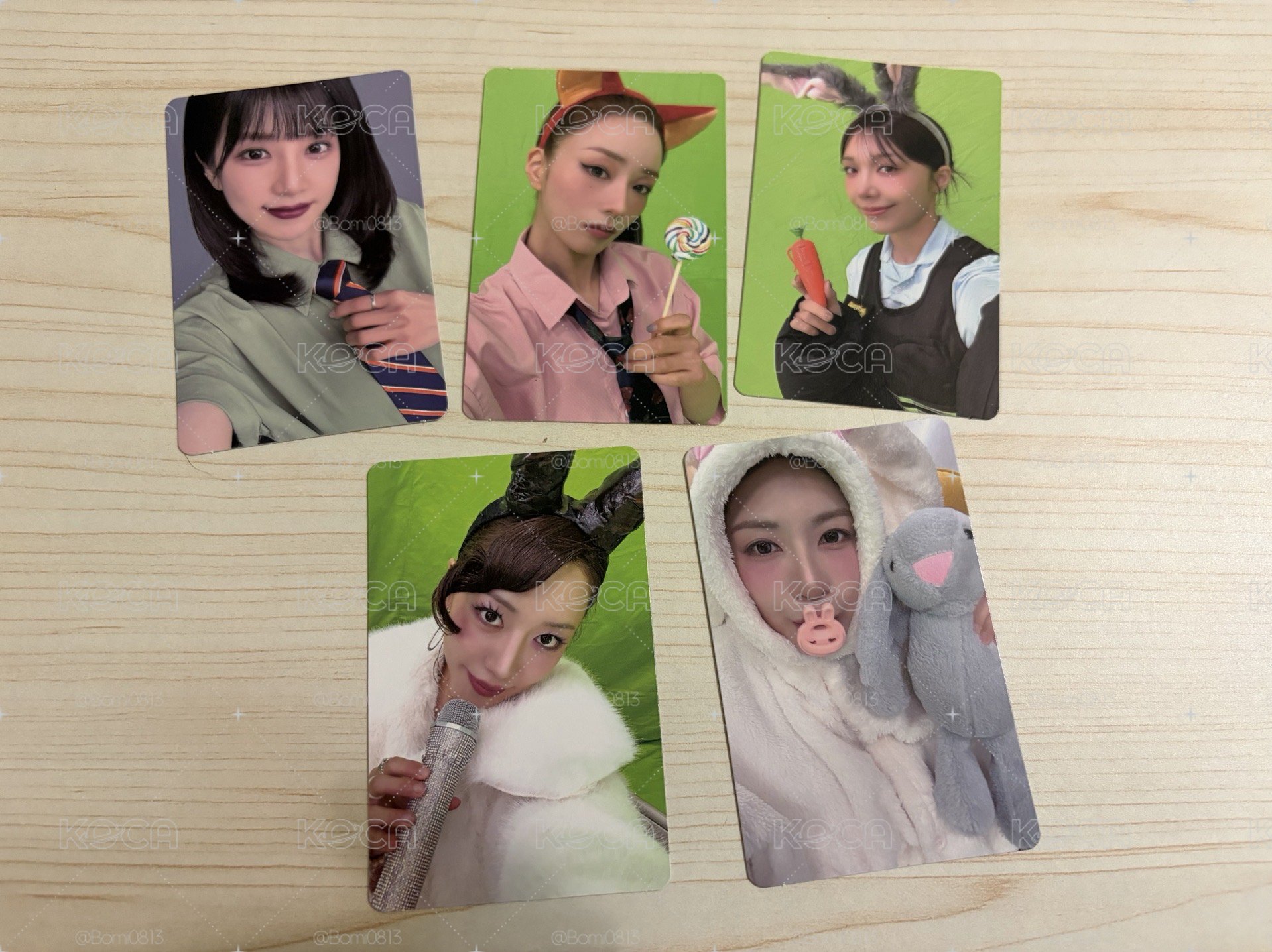 Apink 動物方程式 亞巡入場卡