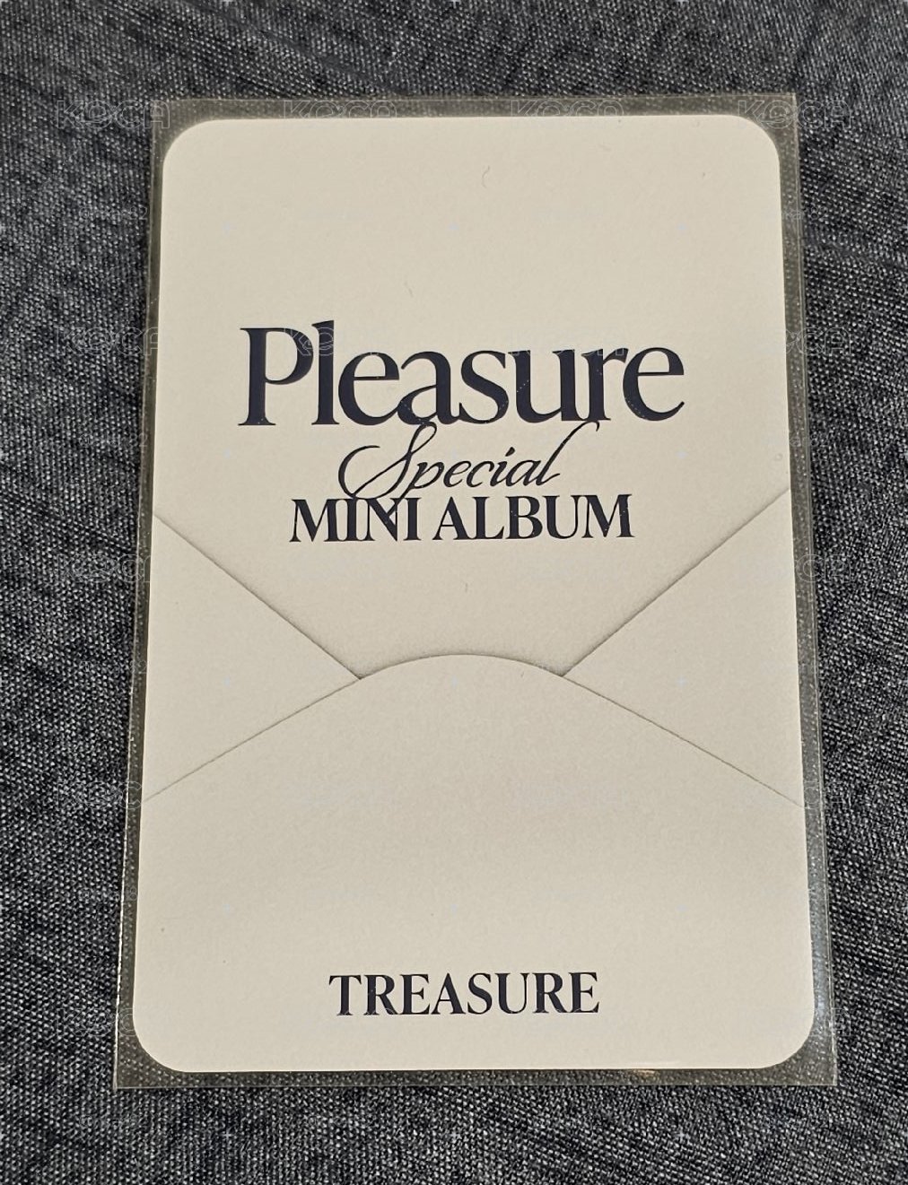 TREASURE PLEASURE YOSHI 🐯