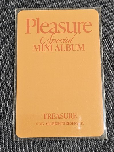 TREASURE PLEASURE YOSHI 🐯