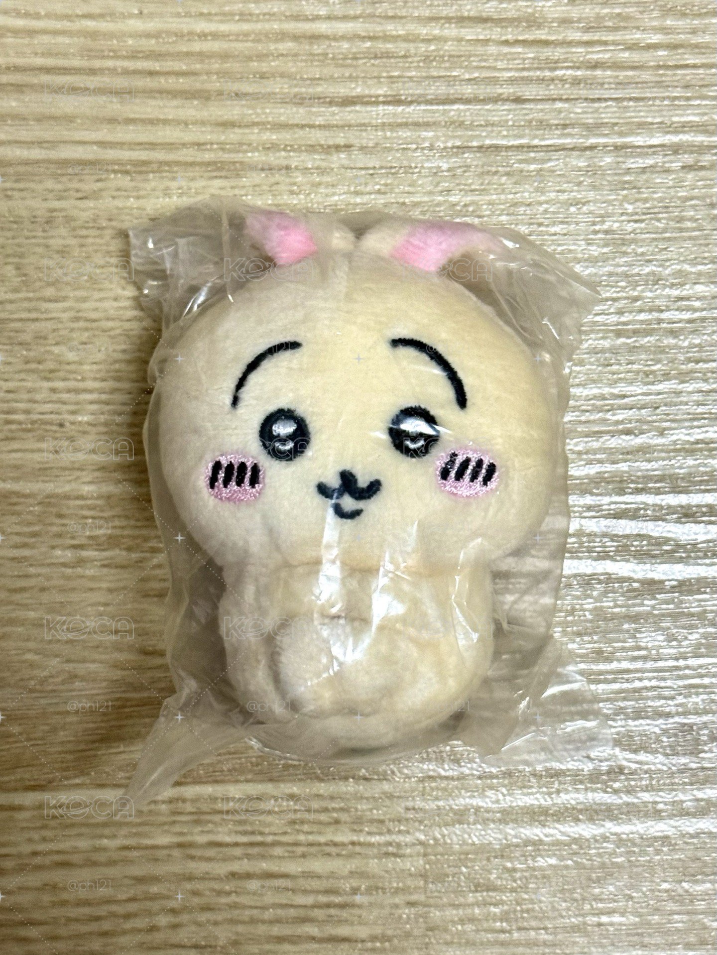 坐姿兔