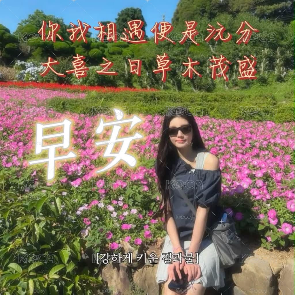 隨機小卡